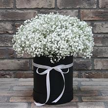 Цветочная композиция из Гипсофила в шляпной коробке во Власихе