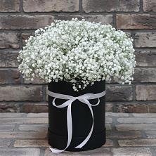 Цветочная композиция из Гипсофила в шляпной коробке во Власихе