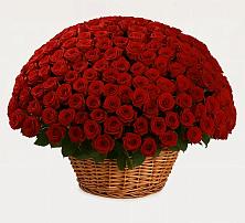 Премиум букет из: Розы #REPLACE_PRED# Власихе